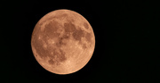 20th Aug 2024 - Full Moon From the Other Night!