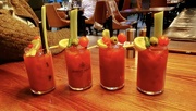 19th Aug 2024 - Bloody Mary