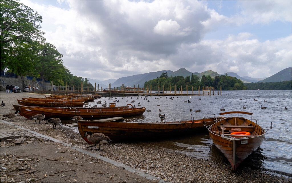 Rowing Boats by pcoulson