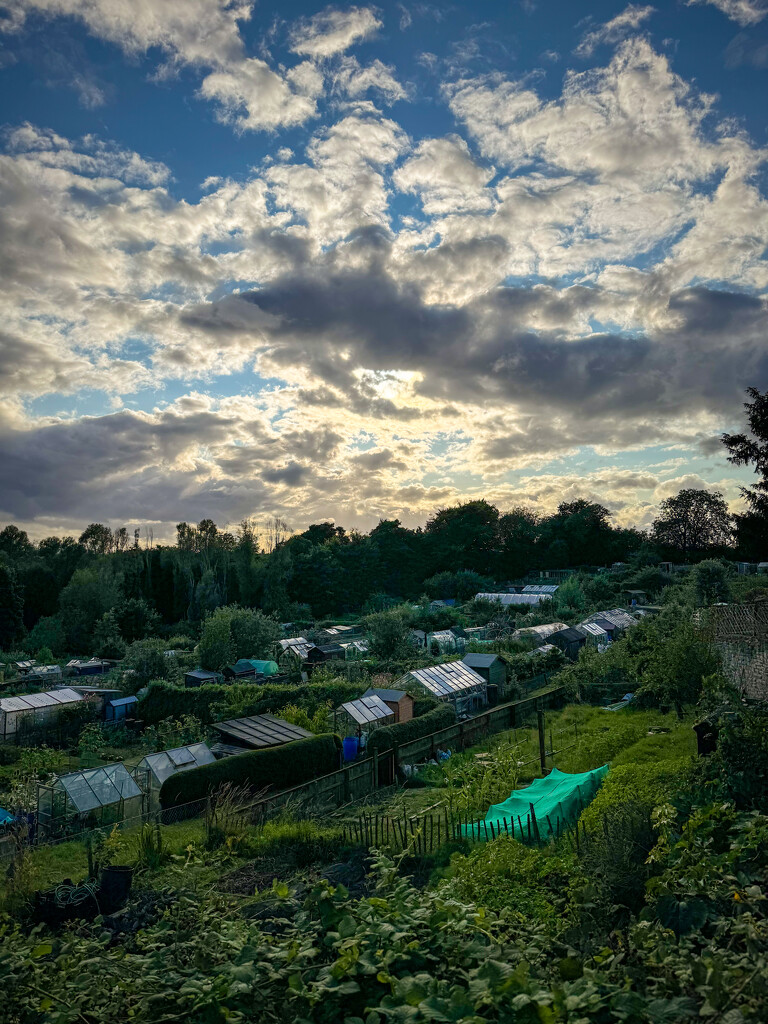 Low light over the allotments by eviehill