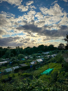 20th Aug 2024 - Low light over the allotments