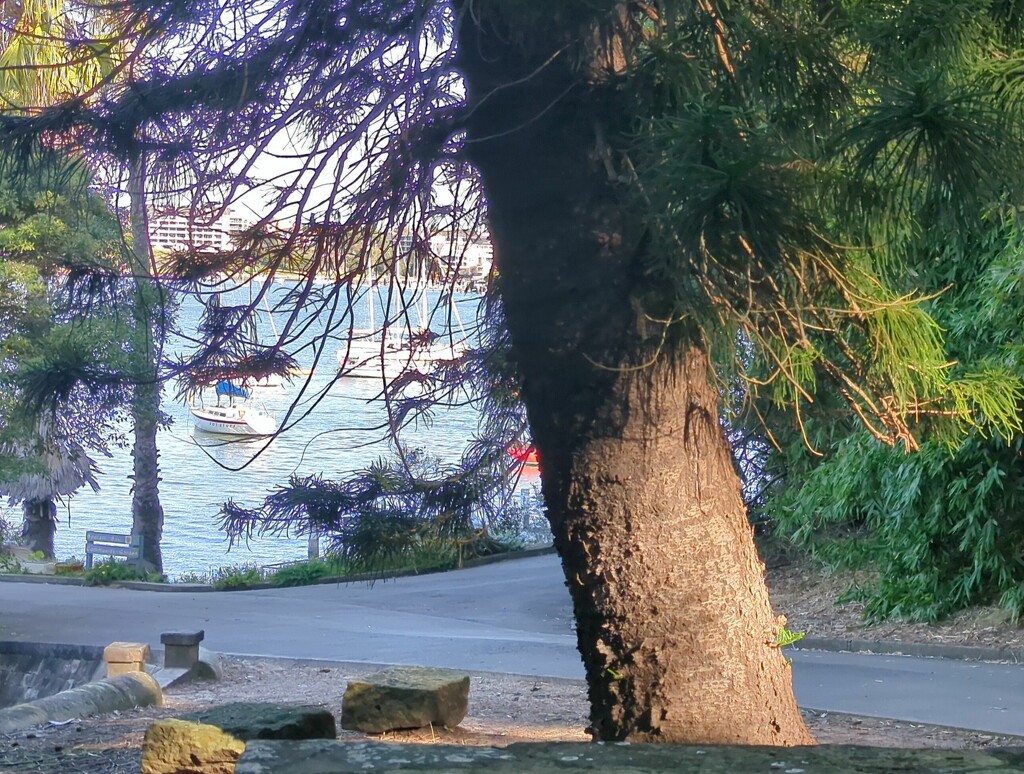 Bench with a View by elf