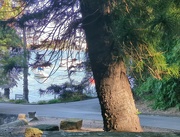 21st Aug 2024 - Bench with a View