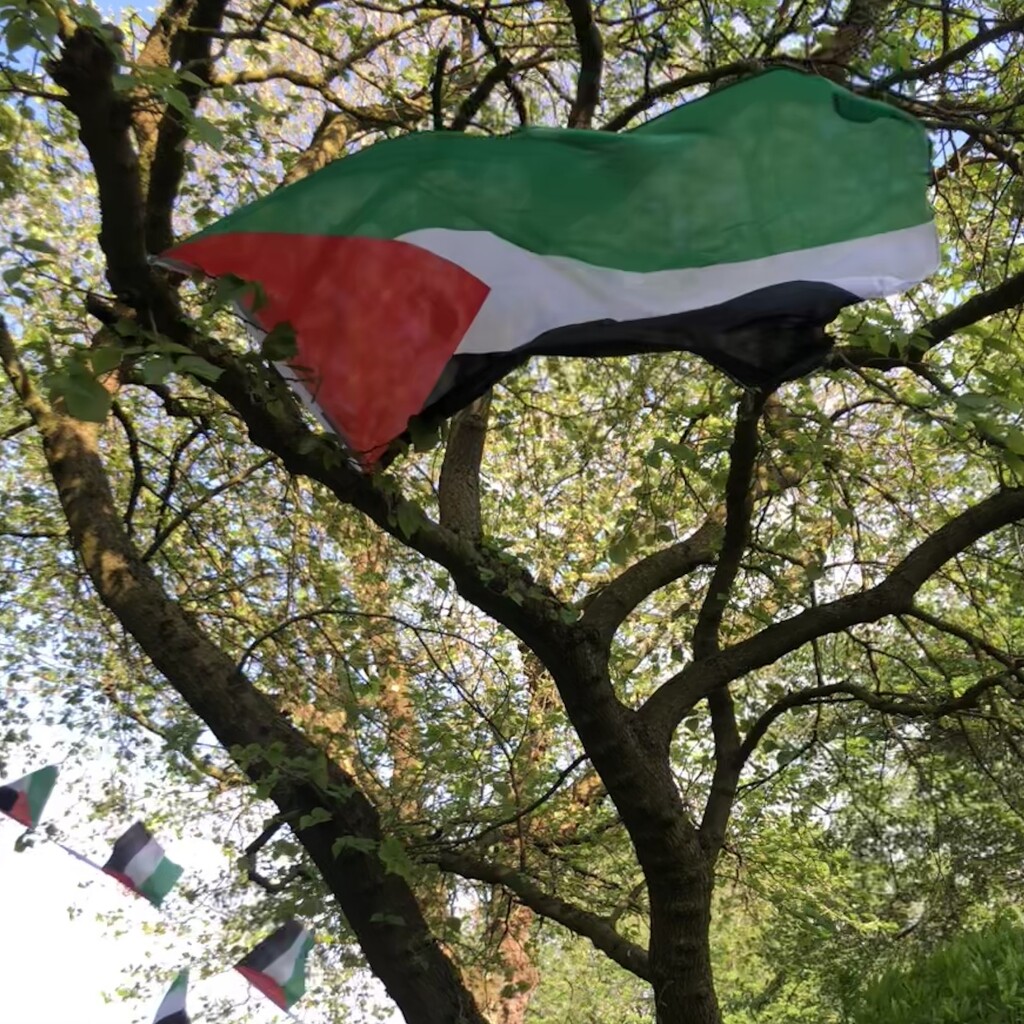 Flags in the trees by sleepingexplorer