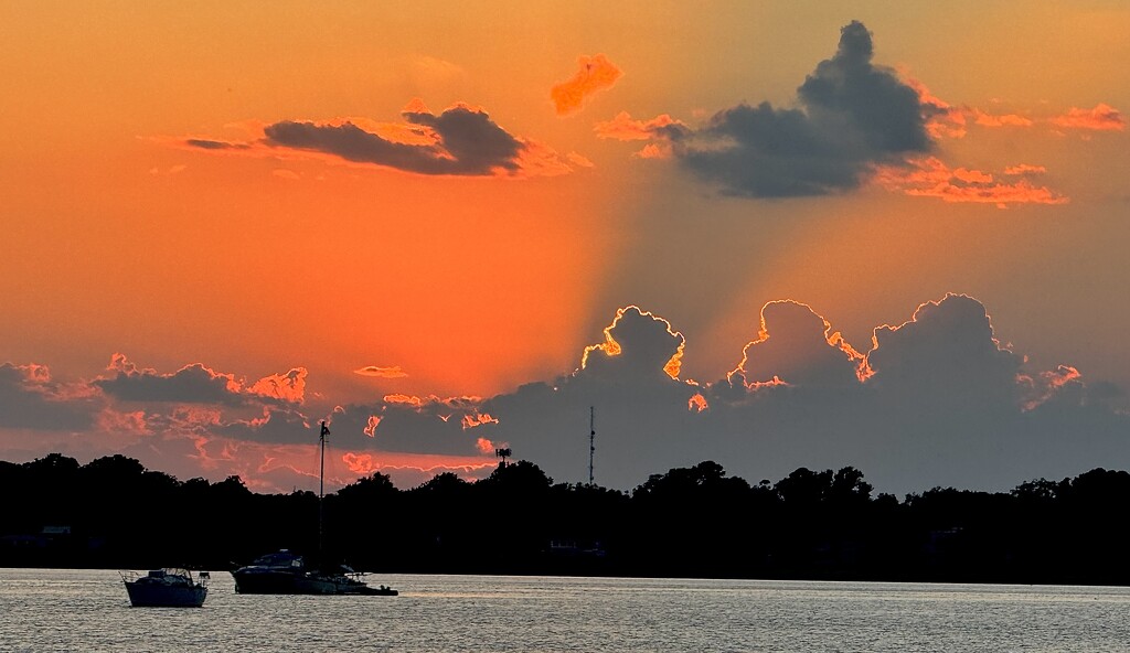 Ashley River sunset by congaree