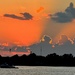 Ashley River sunset by congaree