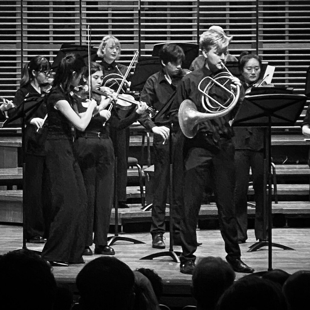 Students at a concert at the Sydney Conservatorium of Music.  by johnfalconer