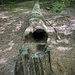 Hollow Log by g3xbm