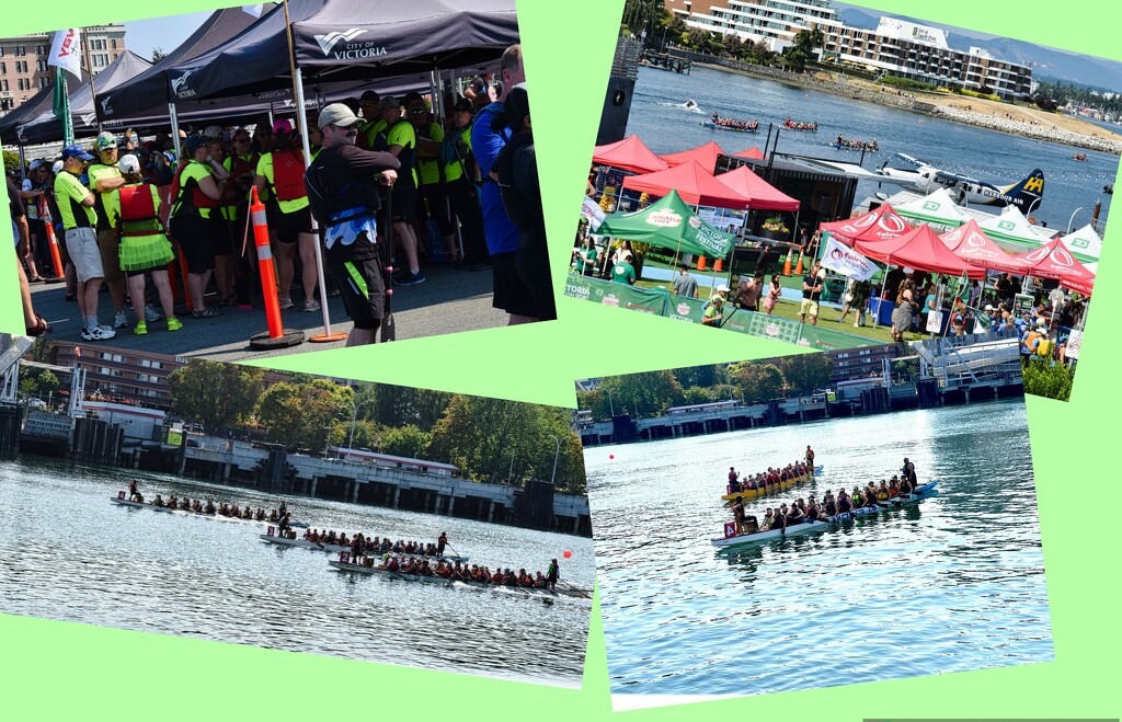 Dragon Boat Races Victoria by sandlily