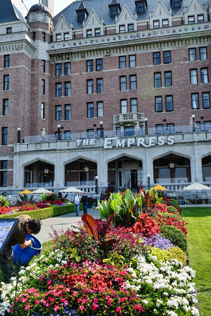 Flowers at the Empress Hotel by sandlily