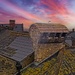 Amongst the rooftops by billyboy