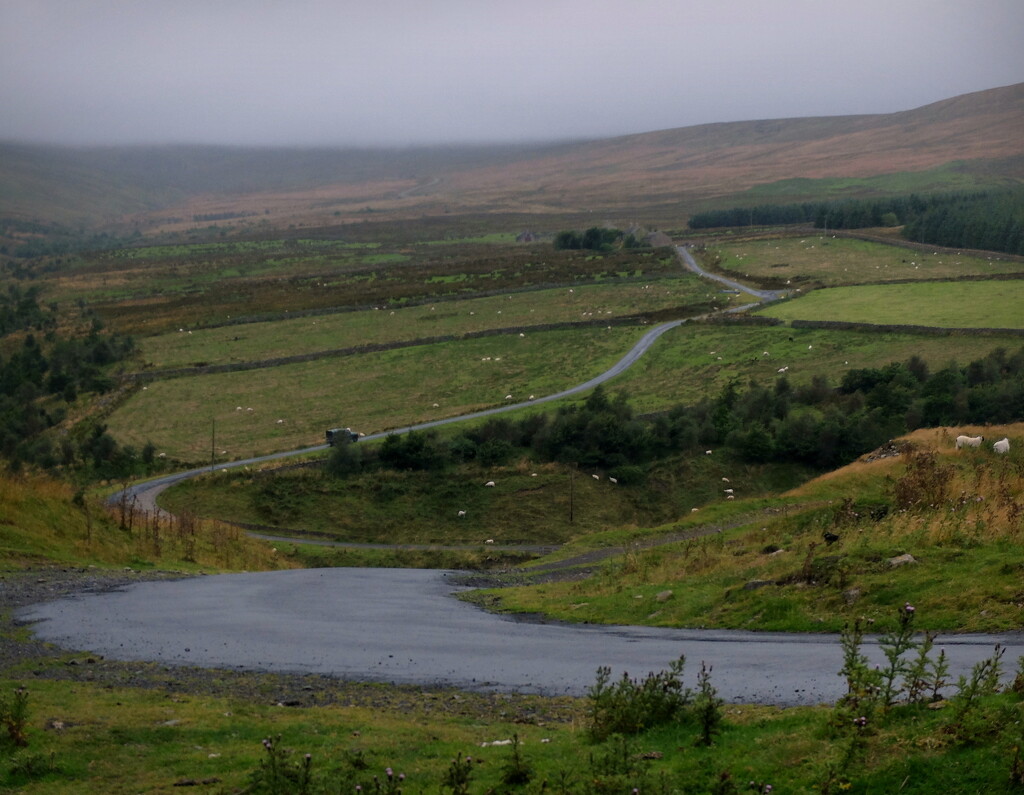 road to nowhere / white dots by minsky365