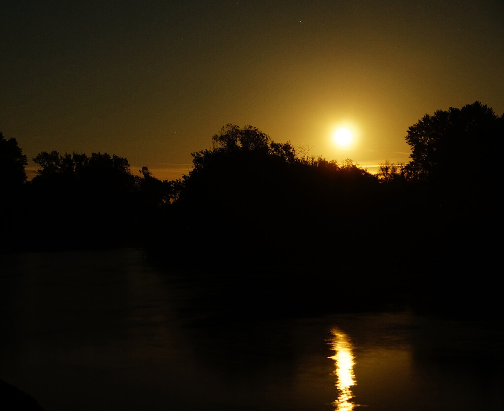 Blue Sturgeon Moon by joysabin