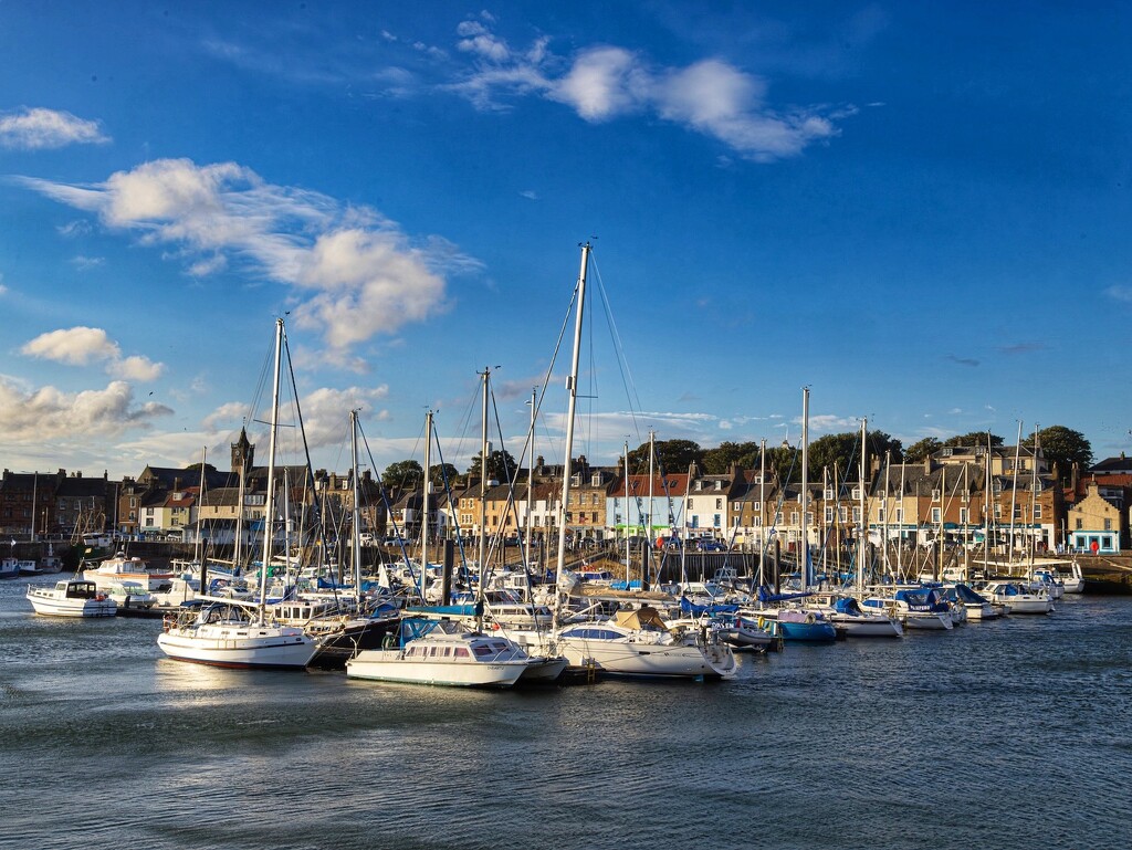 The marina at Anstruther harbour. by billdavidson