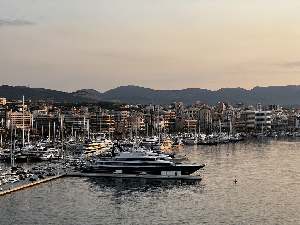 Palma harbor by cwgould