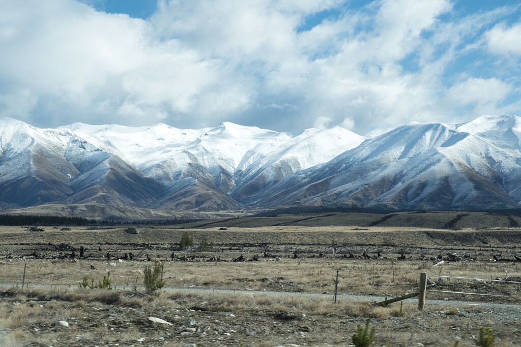 On the Road Again by dkbarnett