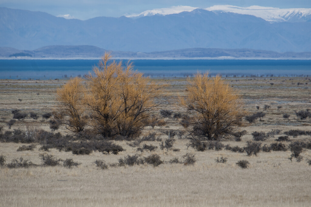 Heading home by dkbarnett