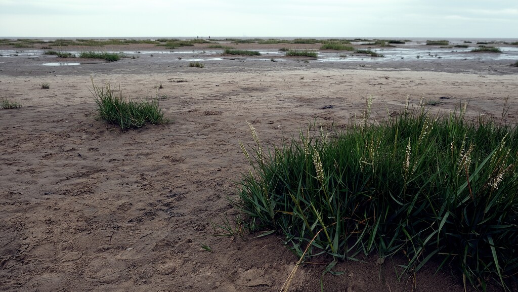 Lytham sands by kametty