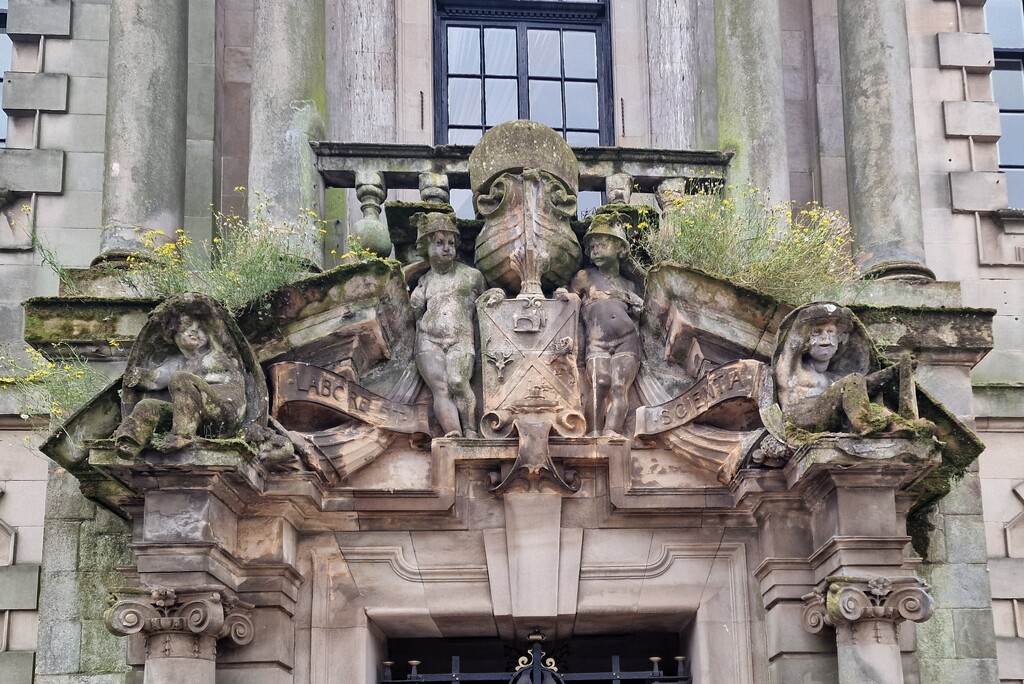 window boxes... by christophercox