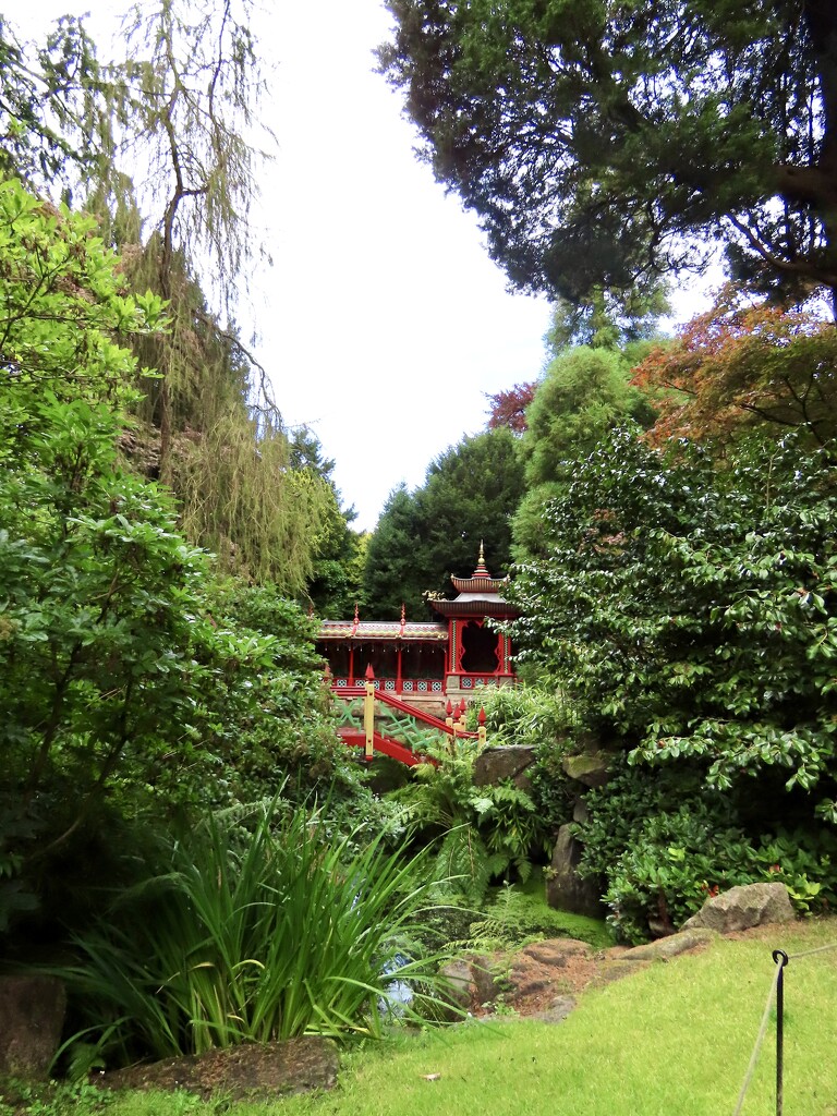 “China” as presented in Biddulph Grange Garden  by orchid99