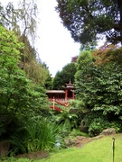 22nd Aug 2024 - “China” as presented in Biddulph Grange Garden 