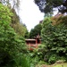 “China” as presented in Biddulph Grange Garden  by orchid99