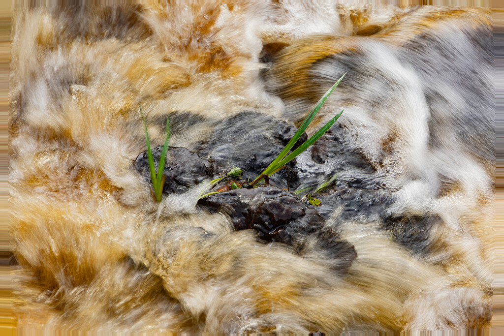 In a Swirl by lifeat60degrees