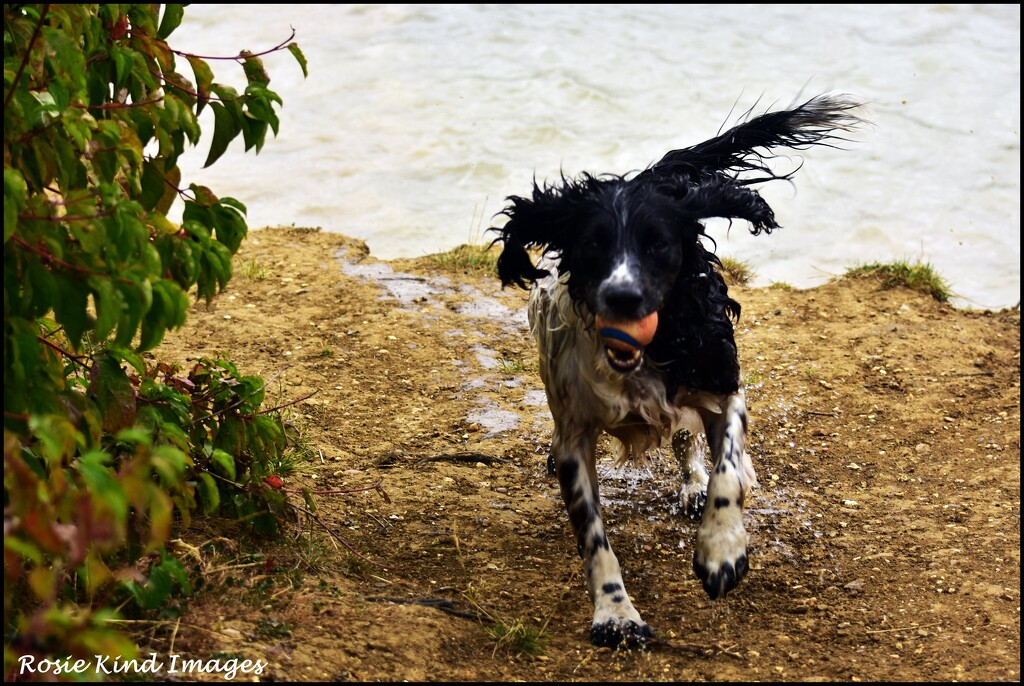 Coming out of the water by rosiekind