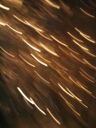 22nd Aug 2024 - Accidental ICM