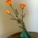 California Poppies