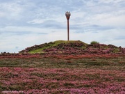 22nd Aug 2024 - Danby Beacon