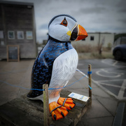 22nd Aug 2024 - RSPB Bempton cliffs