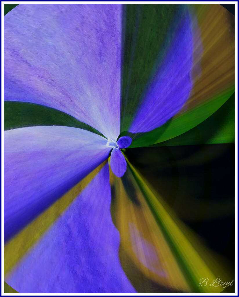 Periwinkle . by beryl