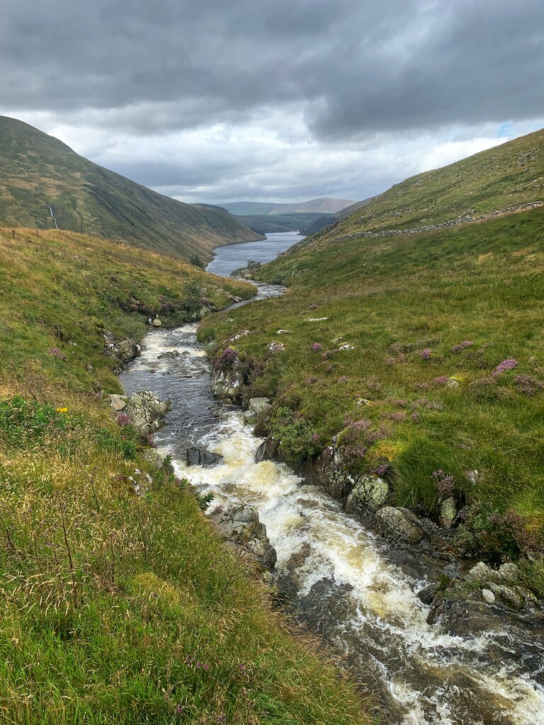 Flowing down to Talla Reservoir. by billdavidson