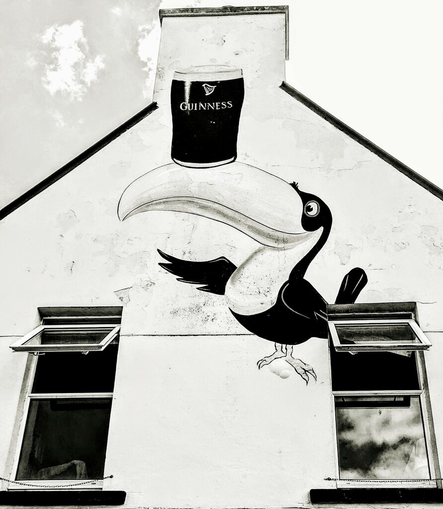 A Banksy? No, just a tipsy toucan by zilli