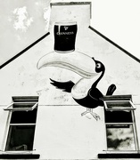 4th Aug 2024 - A Banksy? No, just a tipsy toucan