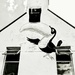 A Banksy? No, just a tipsy toucan by zilli