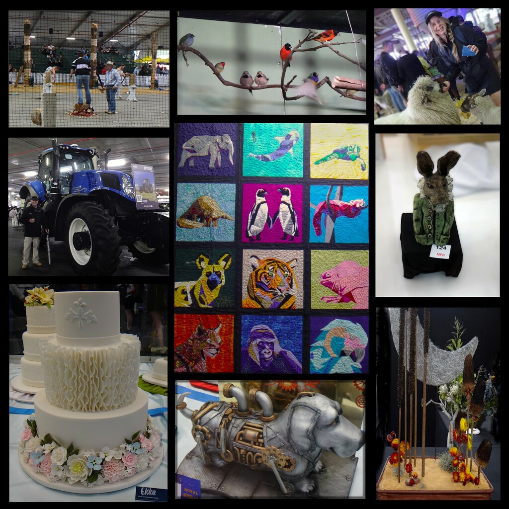 A few of the many things to be enjoyed at the Ekka. by robz