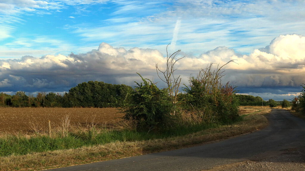 Down the country lane... by neil_ge