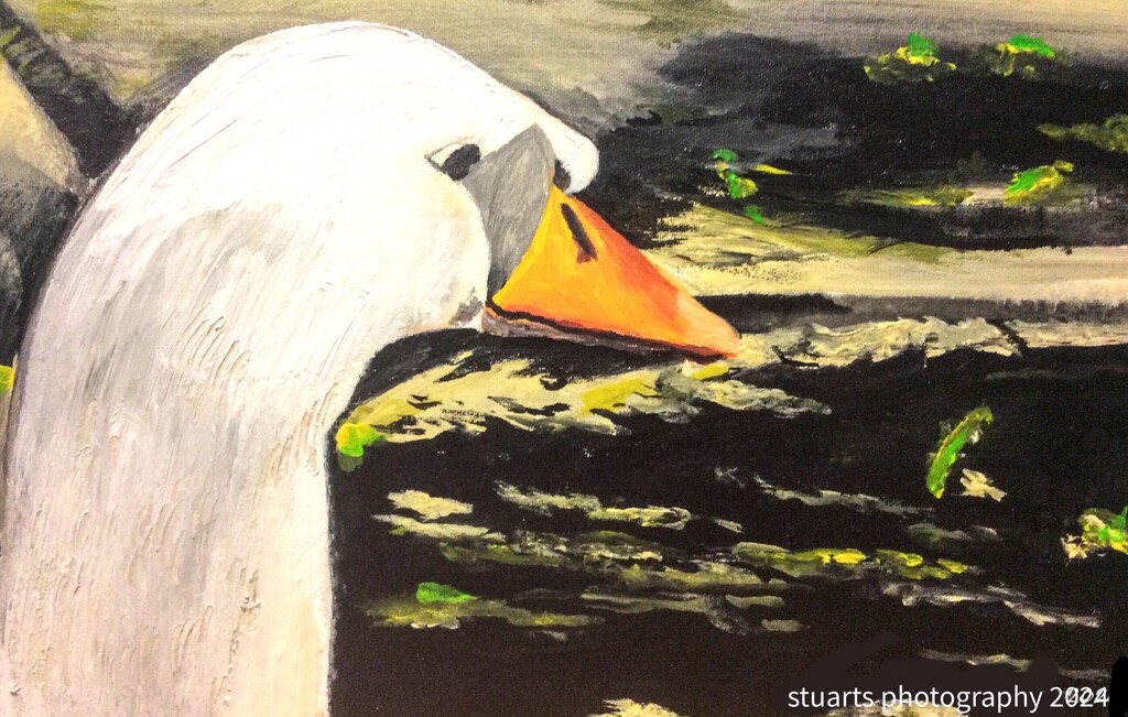 Swans head (painting) by stuart46