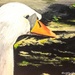 Swans head (painting) by stuart46