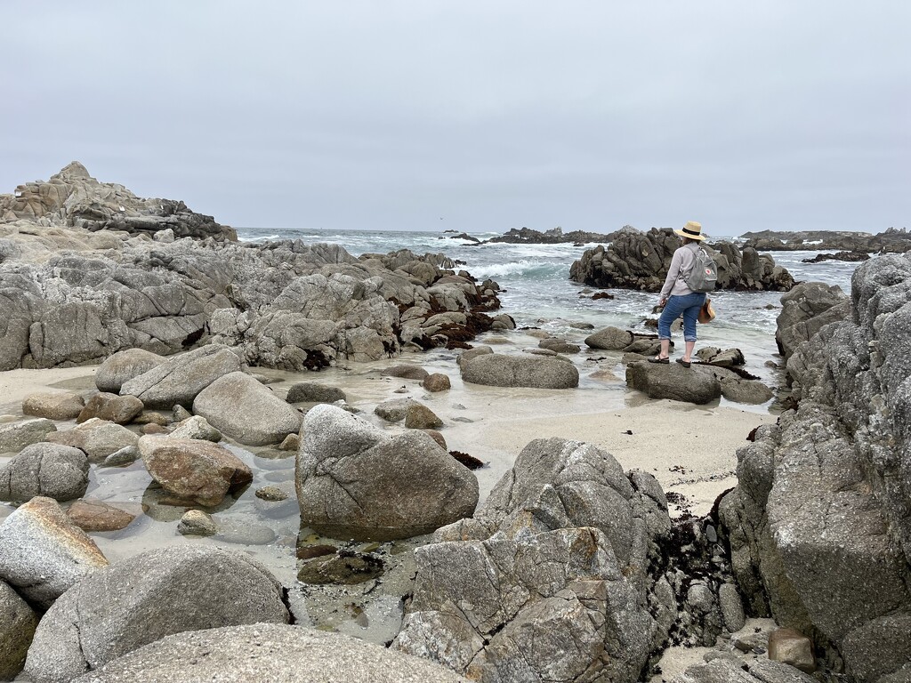 Pacific Grove California  by pej76