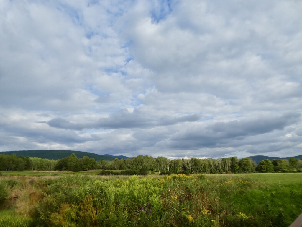 On the Windham Path by mtb24