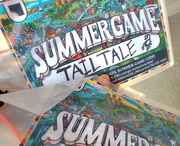 22nd Aug 2024 - Summer Game