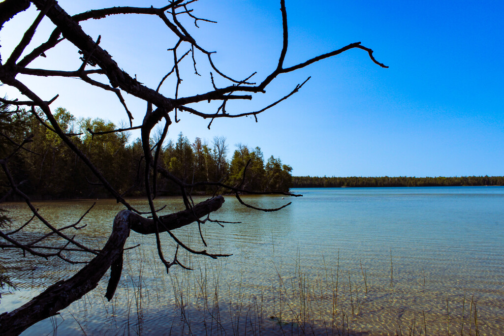 Lake Views by maggierileyphoto