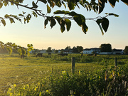 22nd Aug 2024 - Amish Country