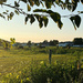 Amish Country by pdulis