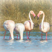 Happy Flamingo Friday by ludwigsdiana