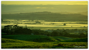 23rd Aug 2024 - Mist sweeping the Flats..