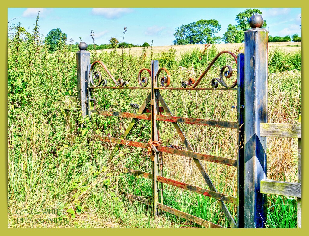 Rusty Gate by carolmw